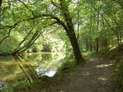 Foto Promenade nature dans la Vallée de la Fée Carabosse