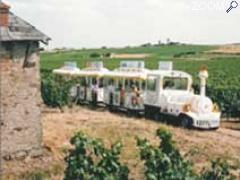 foto di Chalonnes par Vignes et Vallées